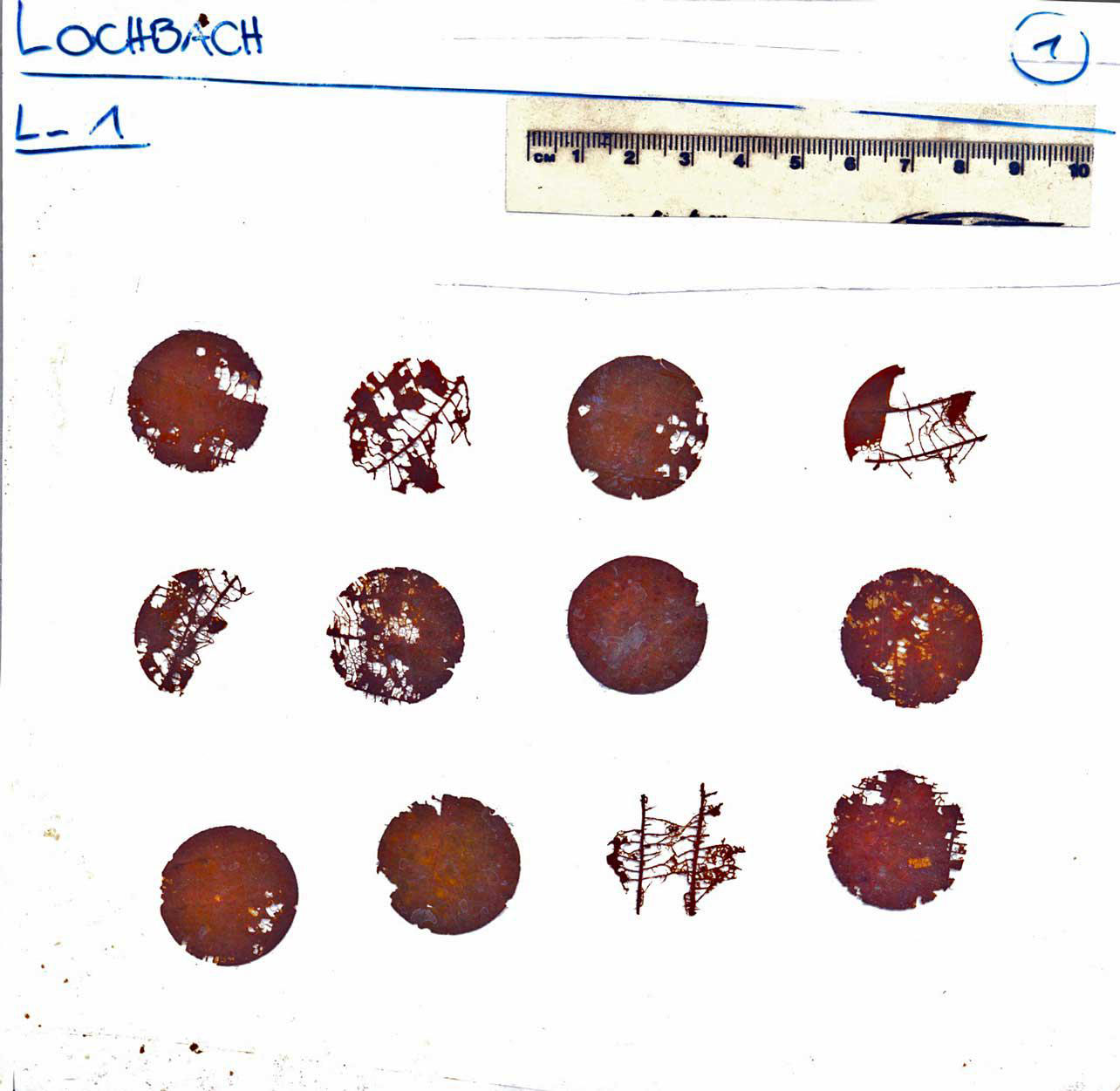 Ökotoxikologie Frassverhalten Gammariden