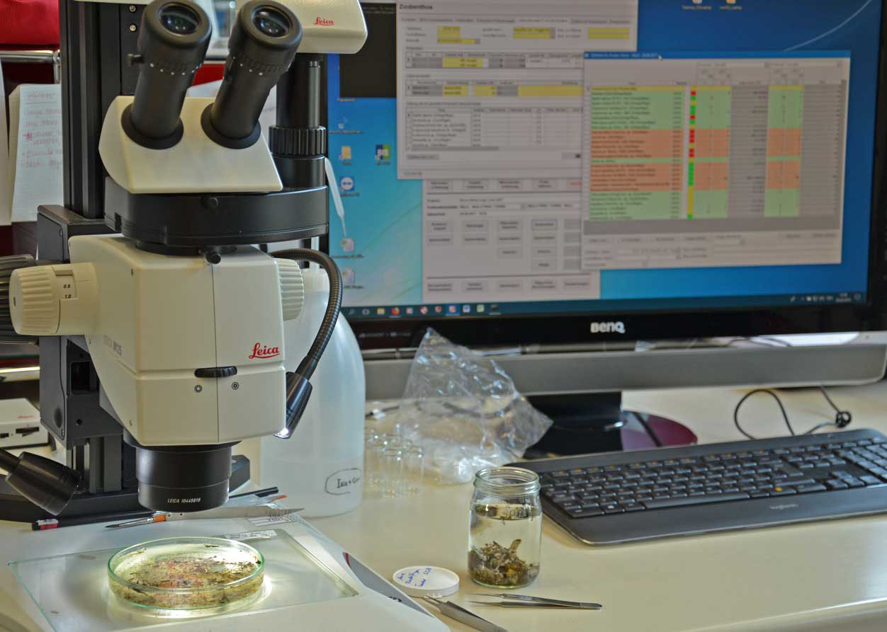 Biologische Datenbank BIS AquaPlus