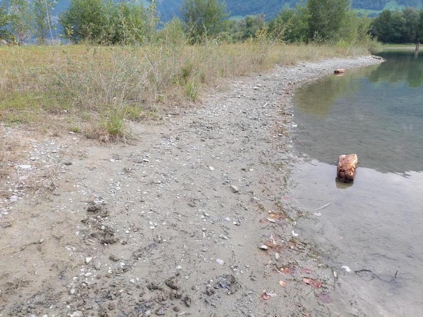 Seeufer mit sandigem Strand und Pflanzen