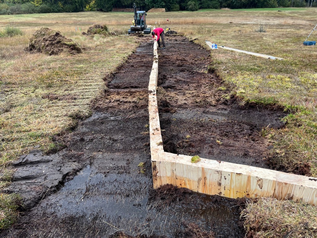 Bauarbeiten im Moor