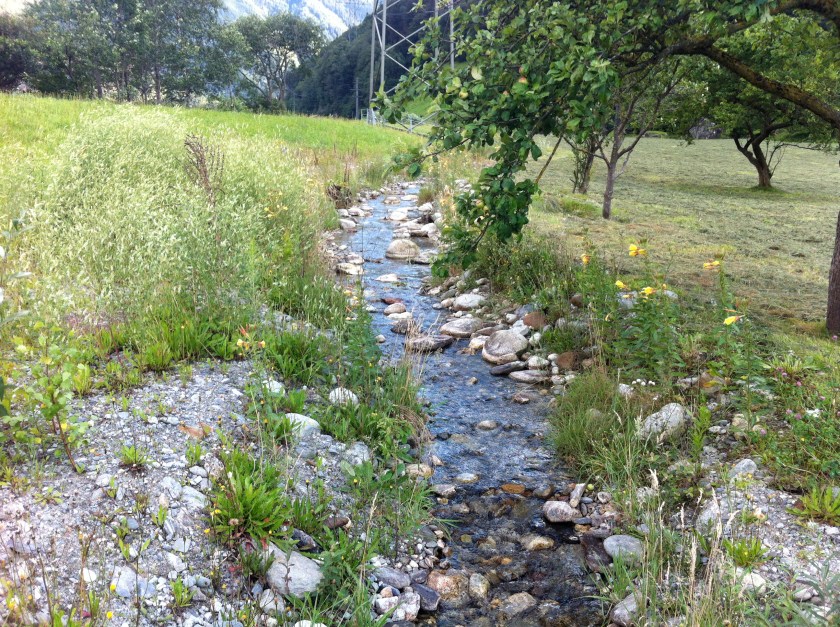 Kleiner revitalisierter Bach in Landwirtschaftsland